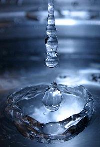 (Ảnh: iStockphoto/abc.net.au)