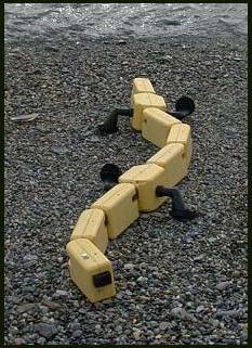 Robot kỳ giông Salamandra robotica trên bờ hồ Geneva