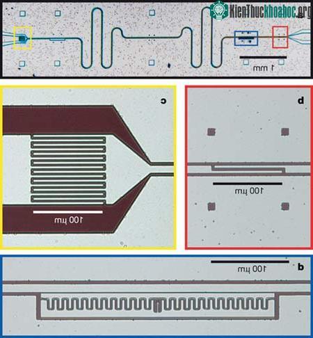 Chế tạo thành công nguồn phát viba đơn photon trên một IC ảnh 1