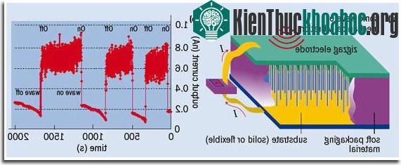 Lưu trữ điện năng bằng dây nano ảnh 2