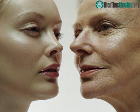 Chống lão hoá để kéo dài tuổi thanh xuân