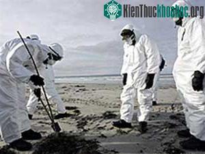 Cúm gia cầm xuất hiện ở Ba Lan ảnh 0
