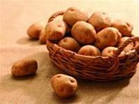 Thức ăn có độc chất: Làm sao tránh? ảnh 0