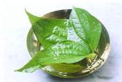 Chữa cảm cúm cho trẻ bằng thuốc nam ảnh 0
