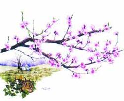 Món ăn từ hoa đào ảnh 0