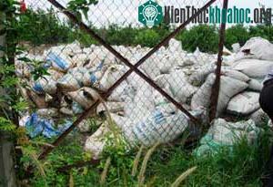 Tái diễn tình trạng xả phân xuống lòng hồ Trị An ảnh 0