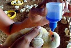 Thêm nhiều điểm dịch mới ảnh 0