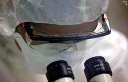 Virut H5N1 đang tiến hoá ảnh 1