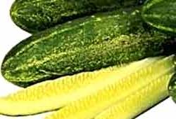 Đắp mặt chữa sạm da ảnh 1