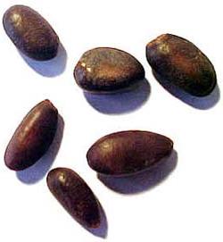 Hạt na