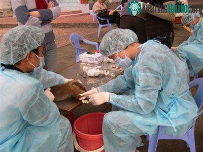 Ai tình nguyện tiêm thử vaccine H5N1? ảnh 1