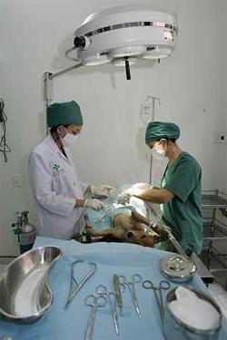 Bộ Y tế bình chọn 10 sự kiện năm 2005 ảnh 2