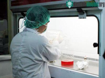 Chưa thể thử nghiệm vaccine H5N1 trên người vì... thủ tục? ảnh 2