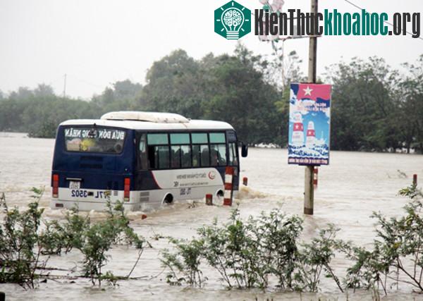 Nhiều nơi Bình Định ngập sâu. (Ảnh: Xuân Ngọc).