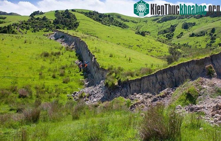 Trận động đất hôm 14/11 xảy ra ở Kaikoura, cách Christchurch 965km về phía bắc.