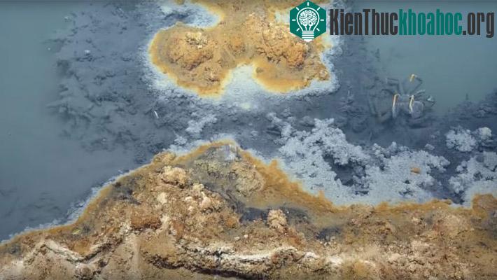Vùng hồ nằm dưới vịnh Mexico mang nhiều độc tố có thể gây chết người và động vật. (Ảnh: EVNautinus).