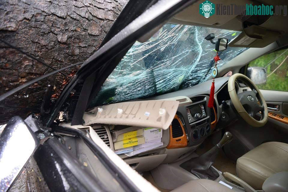 Sáng 28/7, áp thấp nhiệt đới khiến Hà Nội có mưa to và gió giật mạnh. Trên nhiều tuyến phố cây xanh đổ rạp, nhiều ôtô bị đè bẹp rúm. Anh Vũ Thạch (46 tuổi) đưa con gái đi học bằng xe ôtô, qua đầu p...