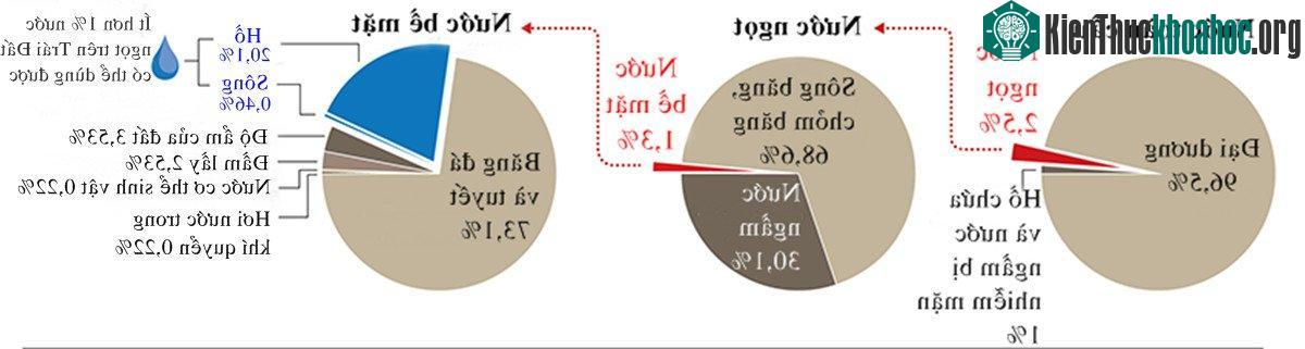 Vòng tuần hoàn của nước