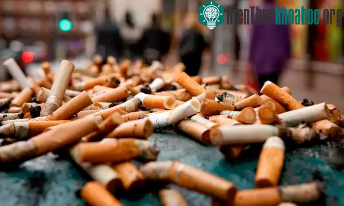 Gạch đất sét có bổ sung đầu lọc thuốc cũng nhẹ hơn, cách nhiệt tốt hơn.