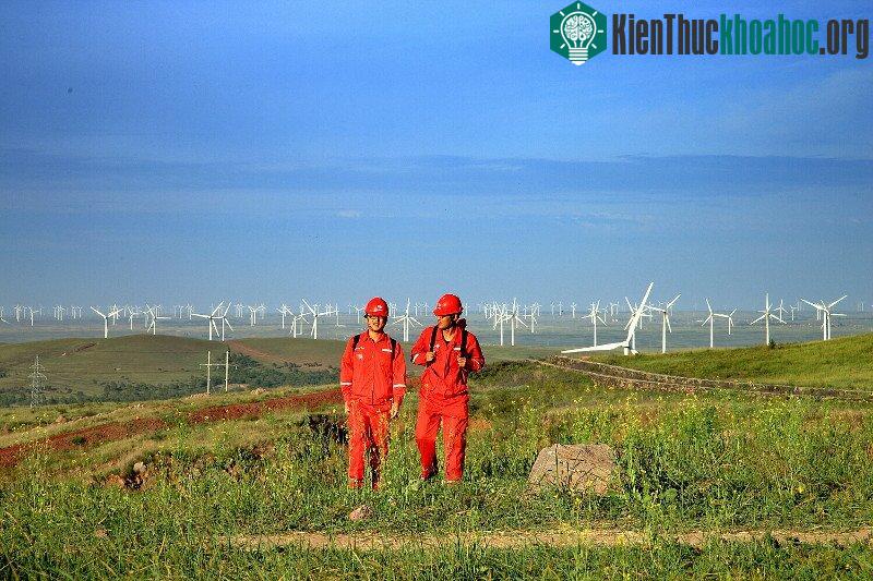 Một cánh đồng phong năng của công ty sản xuất năng lượng gió Goldwind, Trung Quốc. (Ảnh: Goldwind).