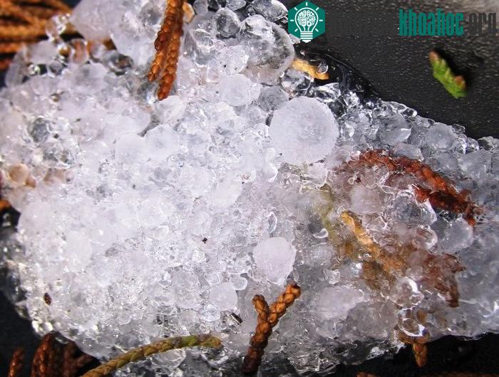 Ẩn trong cơn mưa đá còn có rất nhiều điều bí mật có thể bạn chưa biết.