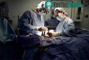 Cầy ghép thành công dây thần kinh từ mẹ sang con ảnh 0