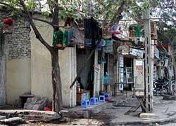 TP.HCM: chấm dứt chăn nuôi gia cầm, thủy cầm từ ngày 15-11 ảnh 0
