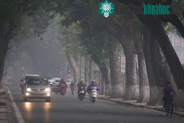 Bắc Bộ và Bắc Trung Bộ sáng sớm có sương mù, ngày nắng. (Ảnh minh họa).