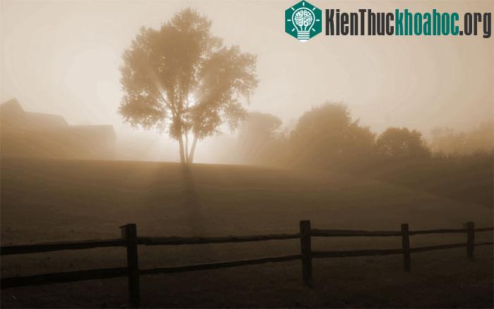 Sương mù bức xạ (Radiation fog).