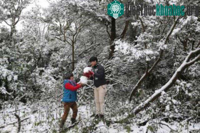 Người dân ra ngoài chơi tuyết.