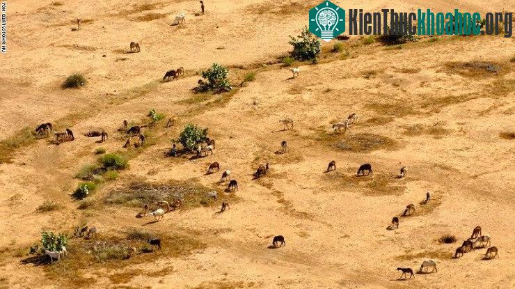 Hệ sinh thái và tài nguyên thiên nhiên của Sudan, một quốc gia ở Bắc Phi, đang bị thoái hóa.