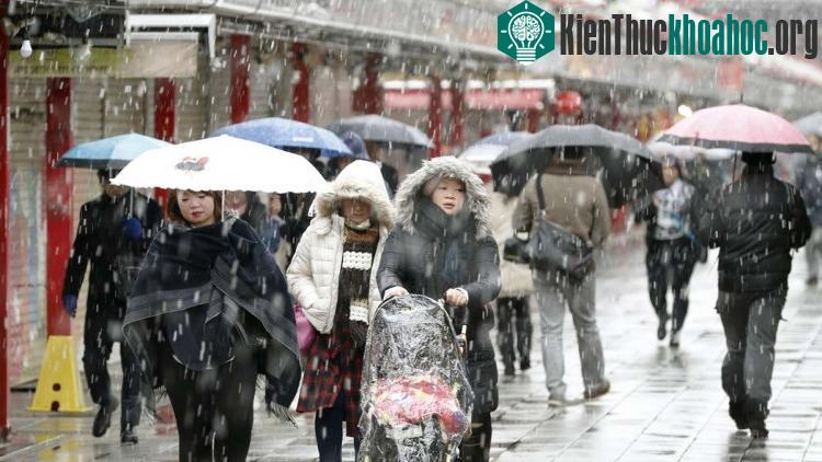Tuyết đầu mùa năm nay ở Tokyo cũng đến sớm hơn năm ngoái 40 ngày.