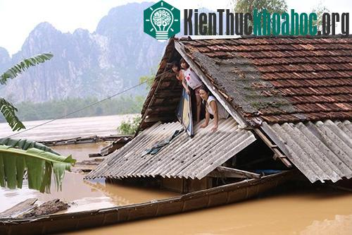 Nhà bị ngập sát mái nhưng chị Trần Thị Hoa vẫn trụ lại để trông giữ tài sản khỏi bị lũ cuốn trôi. (Ảnh: Hoàng Táo).