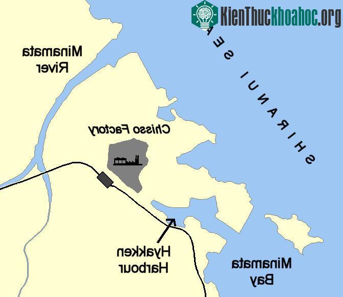 Vụ xả thải khiến cá ở vùng vịnh nhiễm độc thủy ngân, con người và súc vật ăn vào bị ảnh hưởng tới thần kinh. (Ảnh: Wikipedia