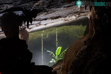 Hang Hòa Hương. (Ảnh đoàn thám hiểm cung cấp).