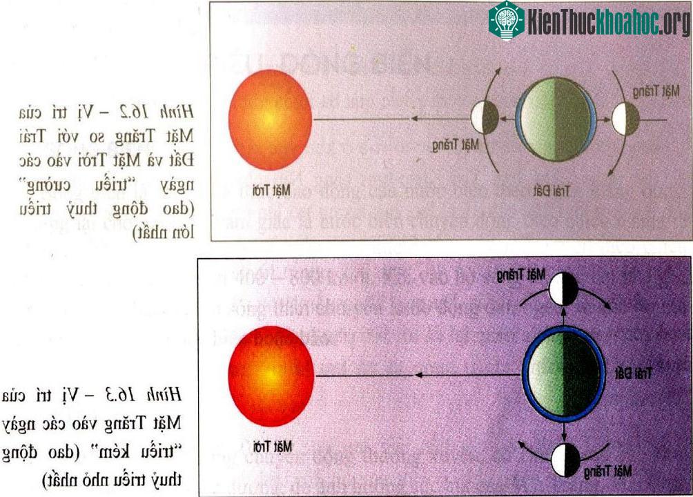 Giải thích hiện tượng thủy triều