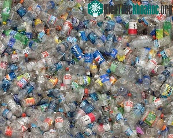 Hiện nay chúng ta đã tích tụ hàng nghìn tấn rác nhựa trong các bãi chôn lấp dưới lòng đất.