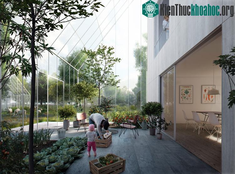 Ngôi làng hướng đến tự sản xuất thực phẩm hữu cơ qua hệ thống vườn thẳng đứng. (Ảnh: Effekt).