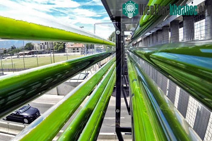 Cầu vượt cao tốc Geneva.