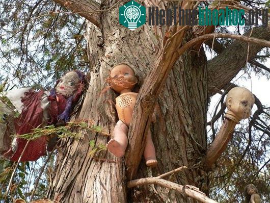 La Isla delas Munecas (Hòn đảo Búp bê) – Mexico