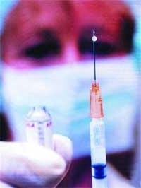 10% dân số VN sẽ nhiễm H5N1, nếu... ảnh 1