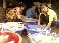 Người dân thờ ơ, chính quyền buông lỏng ảnh 1