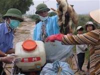 Khẩn trương dập dịch ảnh 1