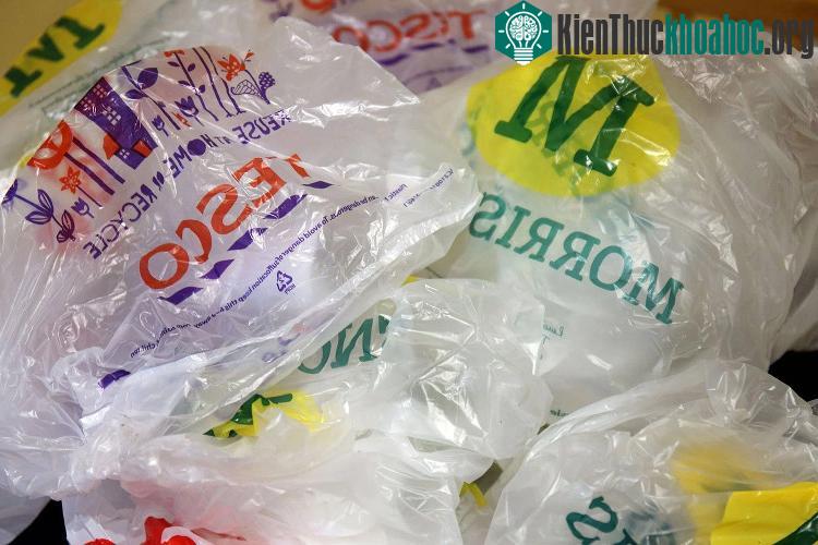 Túi nhựa sản xuất bởi vật liệu không phân hủy chiết xuất từ dầu mỏ hiện đang là vấn nạn môi trường của trái đất.