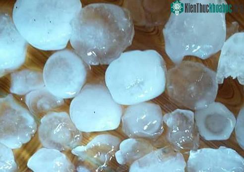 Những hạt đá to bằng nắm đấm gây thiệt hại đáng kể. (Ảnh: Đài Tuyên Quang).
