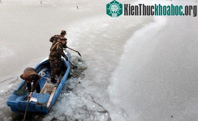 Mặt hồ đóng băng tại tỉnh Sơn Đông, miền đông Trung Quốc.