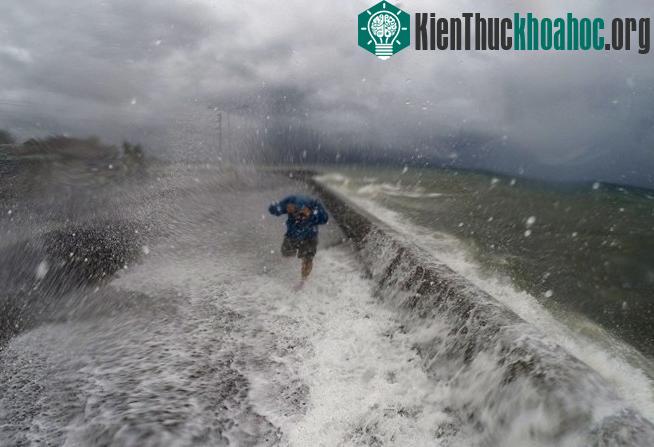 Theo Cơ quan Quản lý và Giảm thiểu rủi ro thiên tai Philippines (NDRRMC), bão lớn khiến nhiều cây bị đổ và gây mất điện ở ít nhất 7 tỉnh.