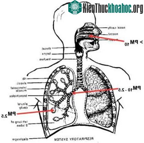 Chỉ tiêu ô nhiễm không khí PM 2.5.