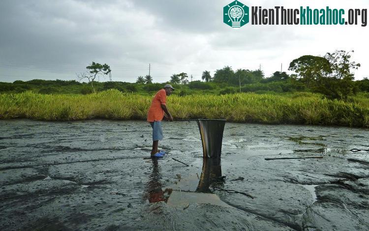 Nhựa đường tại hồ Pitch đã có lịch sử hàng nghìn năm, do dầu mỏ từ dưới lòng đất phun lên.