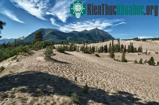 Sa mạc nhỏ nhất thế giới – Sa mạc Carcross, Canada